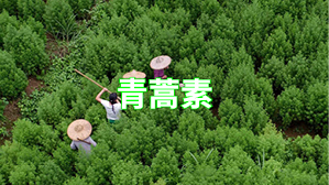 type_9