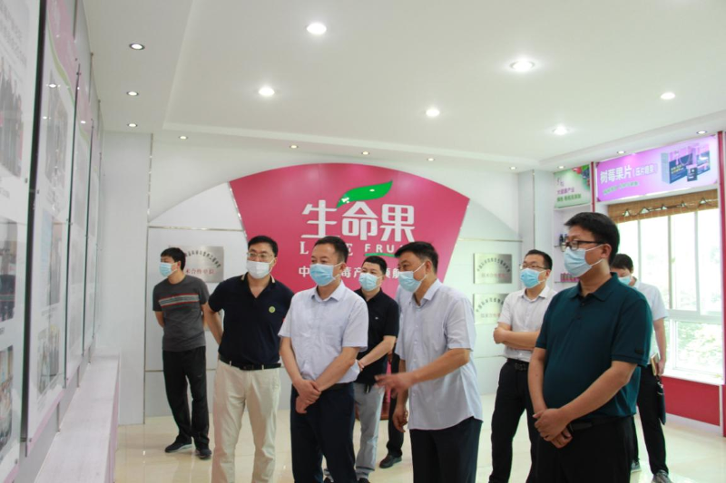 图片2