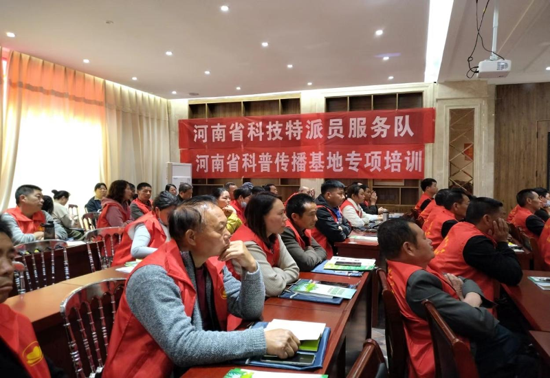 图片15