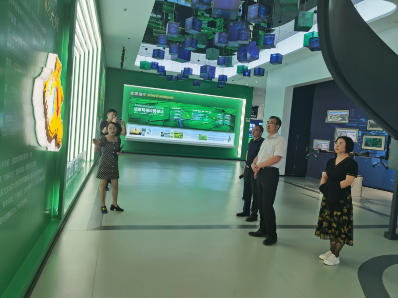 图片9