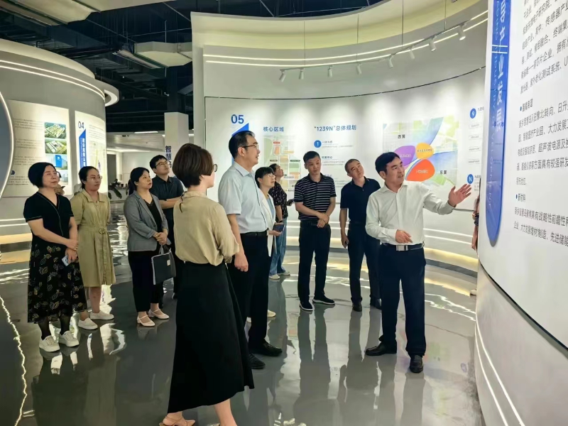 图片11