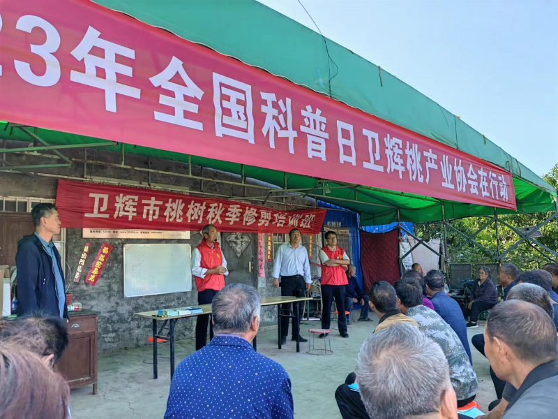图片6